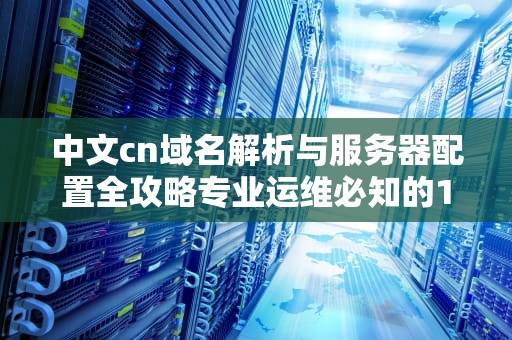 中文cn域名解析与服务器配置全攻略专业运维必知的10个要点