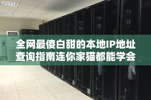 全网最傻白甜的本地IP地址查询指南连你家猫都能学会的5种姿势