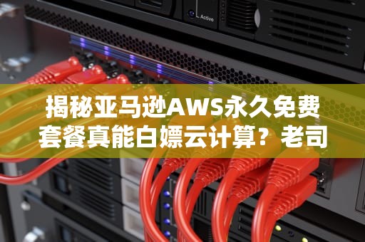 揭秘亚马逊AWS永久免费套餐真能白嫖云计算？老司机带你避坑指南