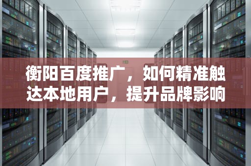 衡阳百度推广，如何精准触达本地用户，提升品牌影响力，衡阳百度推广公司