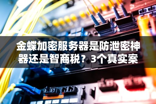 金蝶加密服务器是防泄密神器还是智商税？3个真实案例告诉你真相！