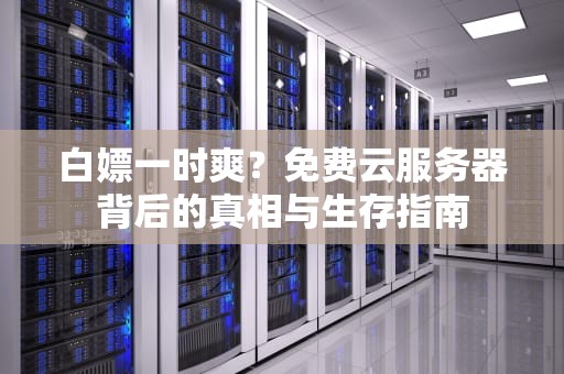 白嫖一时爽？免费云服务器背后的真相与生存指南