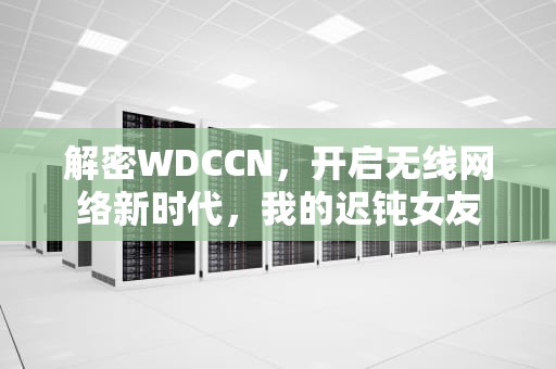 解密WDCCN，开启无线网络新时代，我的迟钝女友