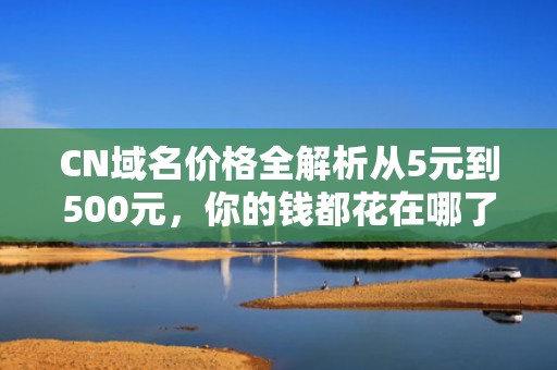 CN域名价格全解析从5元到500元，你的钱都花在哪了？