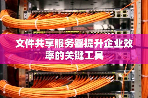 文件共享服务器提升企业效率的关键工具