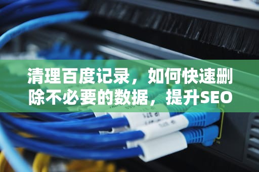 清理百度记录，如何快速删除不必要的数据，提升SEO效果，怎么删除百度记录