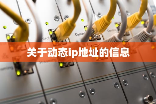 关于动态ip地址的信息