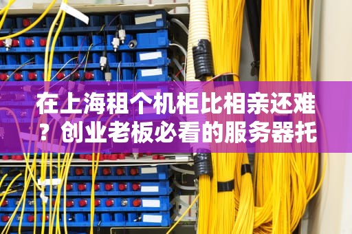 在上海租个机柜比相亲还难？创业老板必看的服务器托管避坑指南