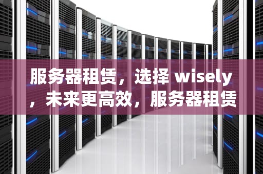 服务器租赁，选择 wisely，未来更高效，服务器租赁费用标准