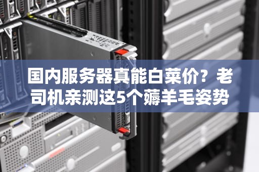 国内服务器真能白菜价？老司机亲测这5个薅羊毛姿势稳如老狗！