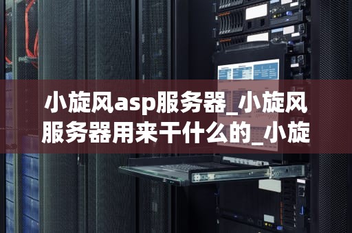小旋风asp服务器_小旋风服务器用来干什么的_小旋风ASP服务器的全面解析