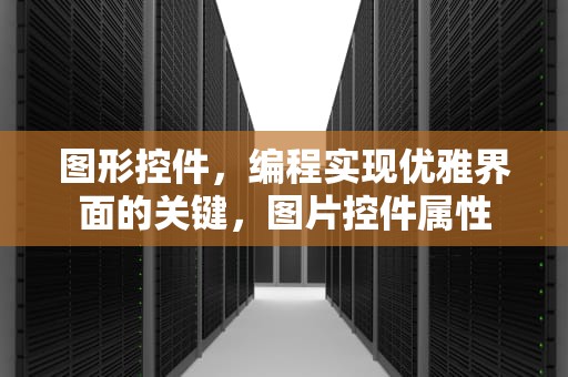 图形控件，编程实现优雅界面的关键，图片控件属性