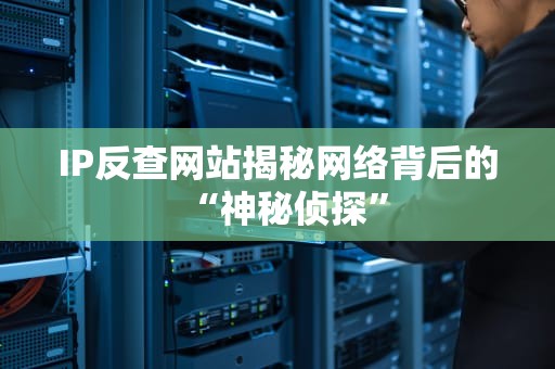 IP反查网站揭秘网络背后的“神秘侦探”