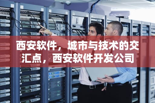 西安软件，城市与技术的交汇点，西安软件开发公司