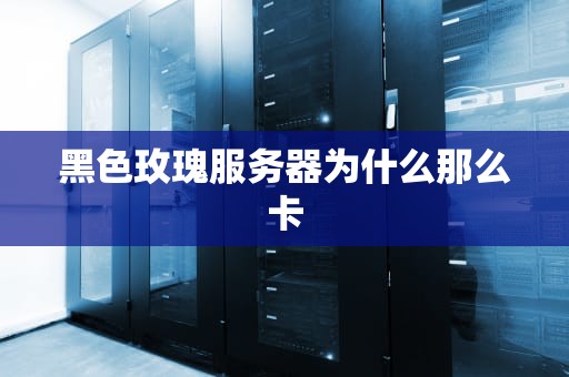 黑色玫瑰服务器为什么那么卡