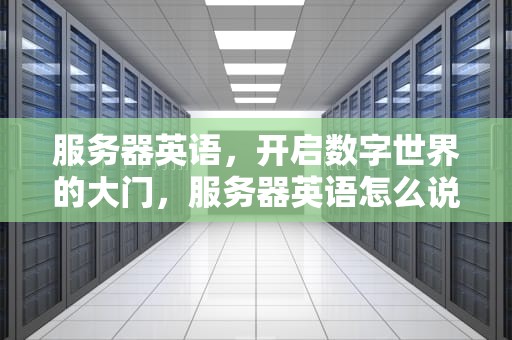 服务器英语，开启数字世界的大门，服务器英语怎么说