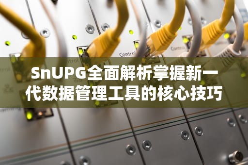 SnUPG全面解析掌握新一代数据管理工具的核心技巧与实践指南