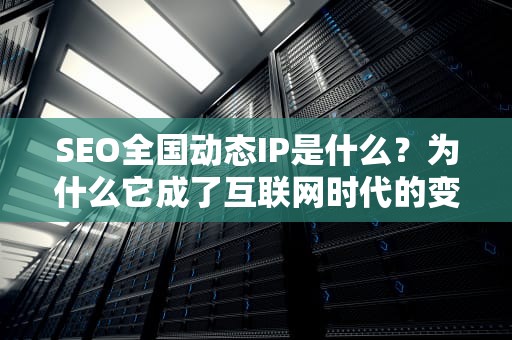 SEO全国动态IP是什么？为什么它成了互联网时代的变色龙？