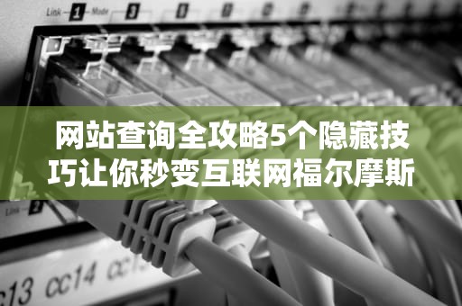 网站查询全攻略5个隐藏技巧让你秒变互联网福尔摩斯