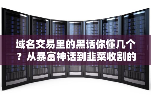 域名交易里的黑话你懂几个？从暴富神话到韭菜收割的防坑指南