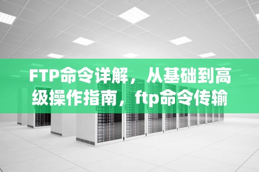 FTP命令详解，从基础到高级操作指南，ftp命令传输文件