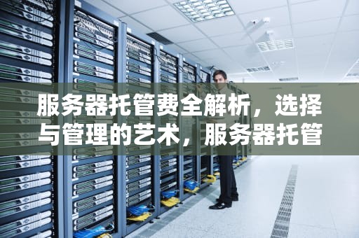 服务器托管费全解析，选择与管理的艺术，服务器托管费用