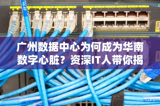 广州数据中心为何成为华南数字心脏？资深IT人带你揭秘机房风云！