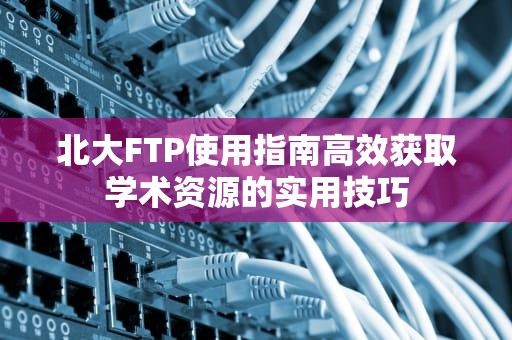 北大FTP使用指南高效获取学术资源的实用技巧
