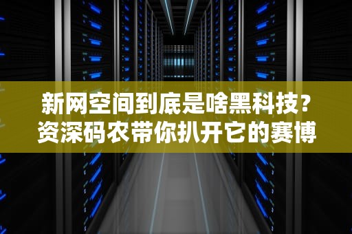 新网空间到底是啥黑科技？资深码农带你扒开它的赛博裤衩