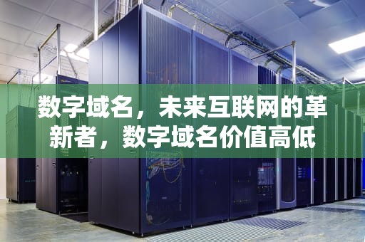 数字域名，未来互联网的革新者，数字域名价值高低