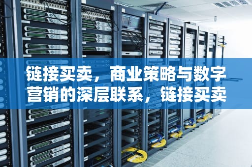 链接买卖，商业策略与数字营销的深层联系，链接买卖平台