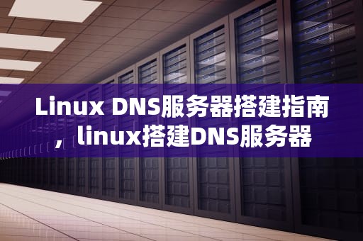Linux DNS服务器搭建指南，linux搭建DNS服务器
