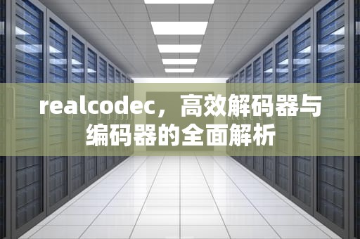 realcodec，高效解码器与编码器的全面解析