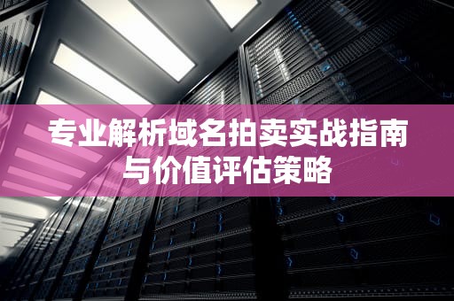 专业解析域名拍卖实战指南与价值评估策略