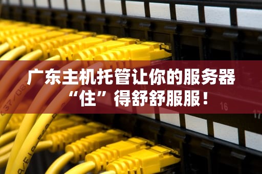 广东主机托管让你的服务器“住”得舒舒服服！