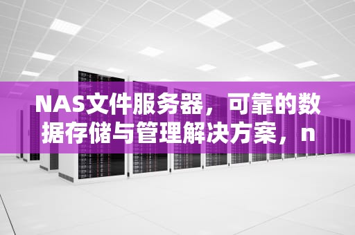 NAS文件服务器，可靠的数据存储与管理解决方案，nas 文件服务器