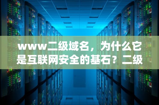 www二级域名，为什么它是互联网安全的基石？二级域名org