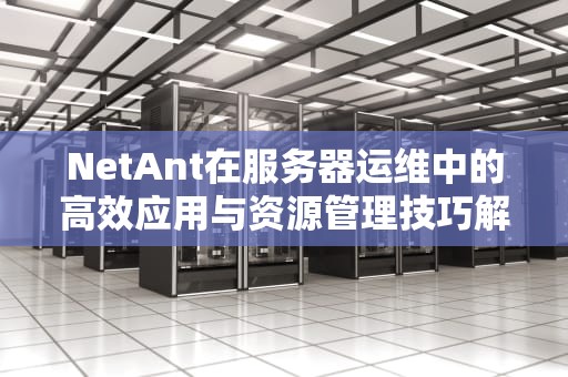 NetAnt在服务器运维中的高效应用与资源管理技巧解析