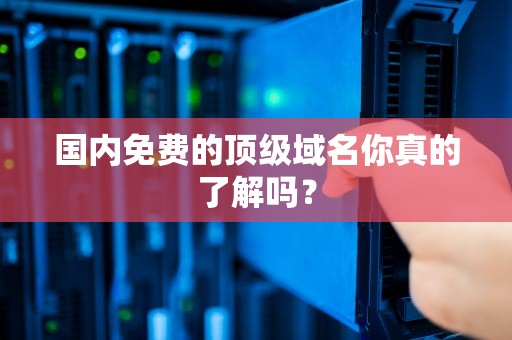 国内免费的顶级域名你真的了解吗？