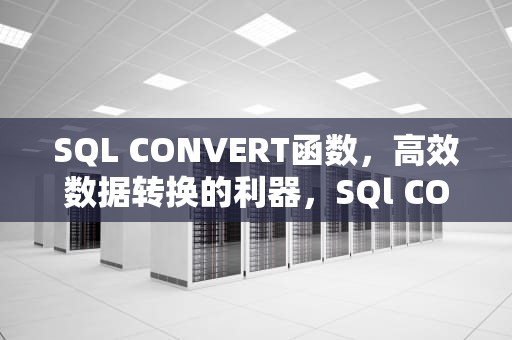 SQL CONVERT函数，高效数据转换的利器，SQl CONVERT 函数