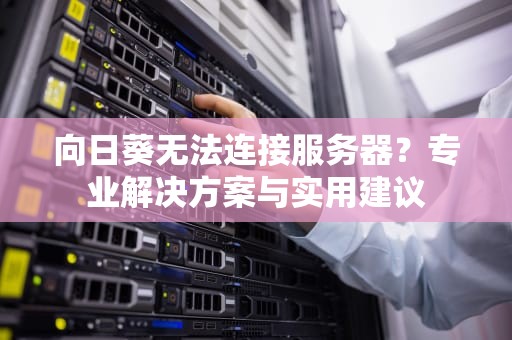 向日葵无法连接服务器？专业解决方案与实用建议