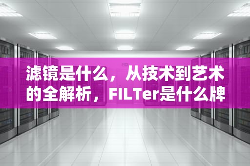 滤镜是什么，从技术到艺术的全解析，FILTer是什么牌子