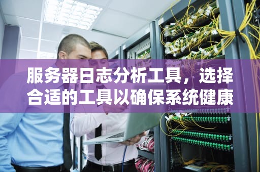 服务器日志分析工具，选择合适的工具以确保系统健康，服务器日志查看工具