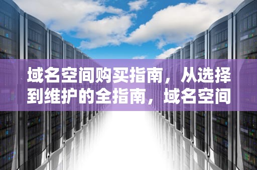 域名空间购买指南，从选择到维护的全指南，域名空间购买是什么