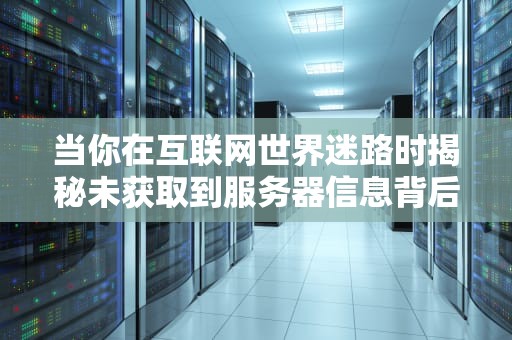 当你在互联网世界迷路时揭秘未获取到服务器信息背后的十万个为什么