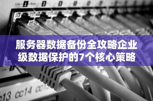服务器数据备份全攻略企业级数据保护的7个核心策略