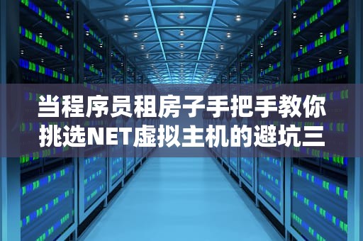当程序员租房子手把手教你挑选NET虚拟主机的避坑三定律