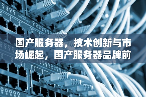 国产服务器，技术创新与市场崛起，国产服务器品牌前十大排名