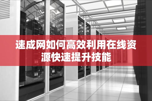 速成网如何高效利用在线资源快速提升技能