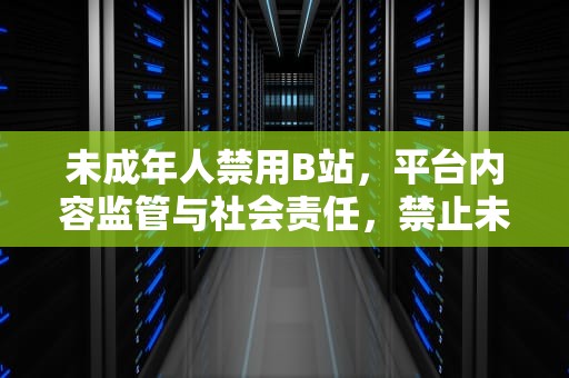 未成年人禁用B站，平台内容监管与社会责任，禁止未成年b站直播